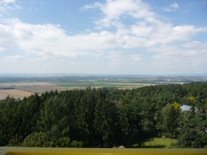 P1060951