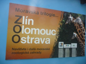 P1060989