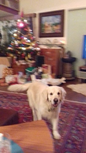 20161224_173644