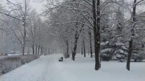 20170201_101002
