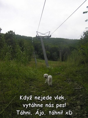 u.vleku