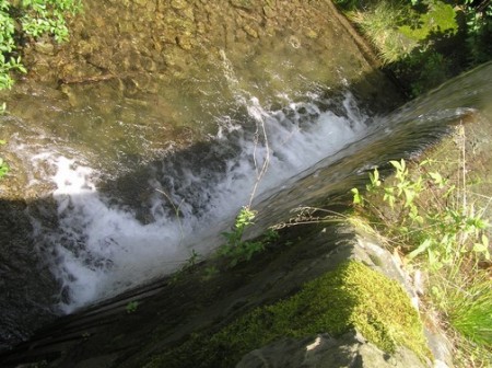 splav