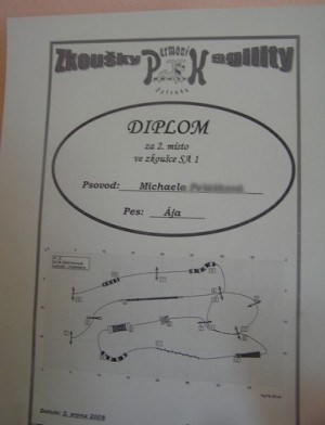 diplom